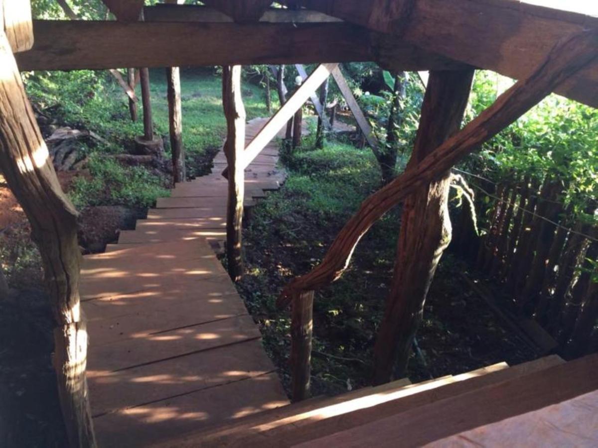 Tree Top Eco-Lodge Banlung Екстер'єр фото